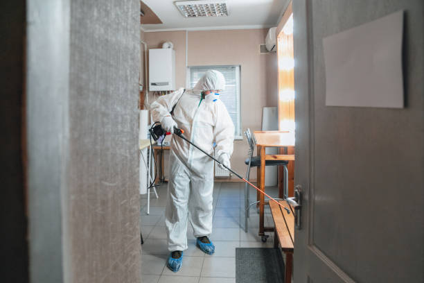 Professional Mold Removal in Nanawale Estates, HI