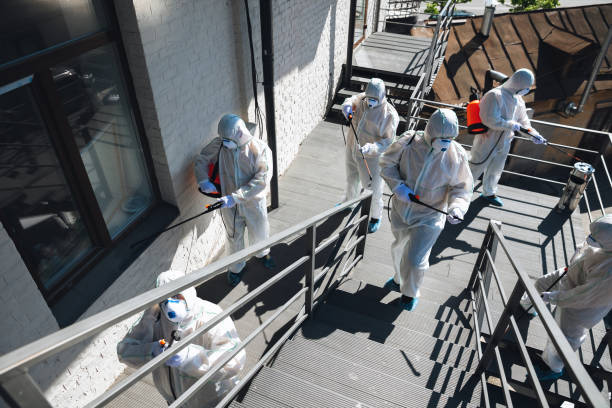  Nanawale Estates, HI Mold Removal Pros