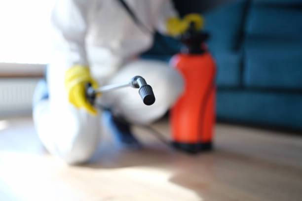 Mold Documentation for Insurance Claims in Nanawale Estates, HI