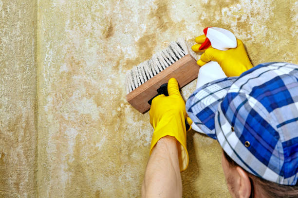 Dehumidification Services in Nanawale Estates, HI