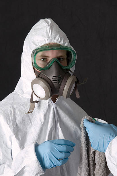 Best Basement Mold Removal  in Nanawale Estates, HI